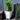 Flower Planters